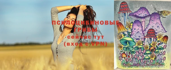 кокс Кулебаки