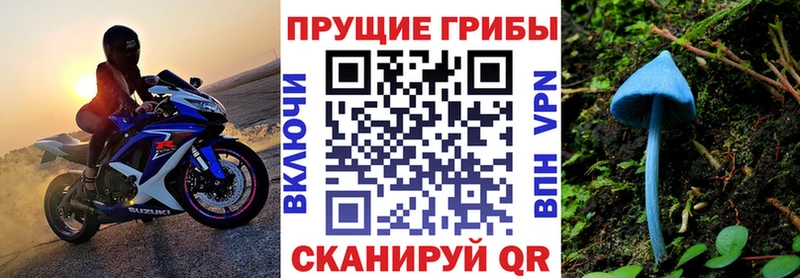 Галлюциногенные грибы GOLDEN TEACHER  KRAKEN ССЫЛКА  Николаевск 